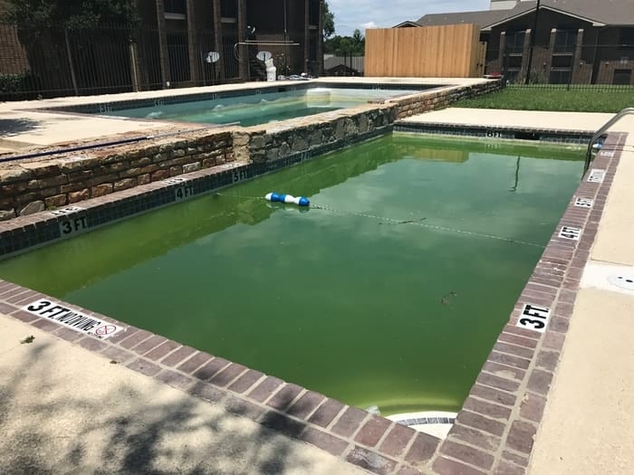 Discolored pool water.