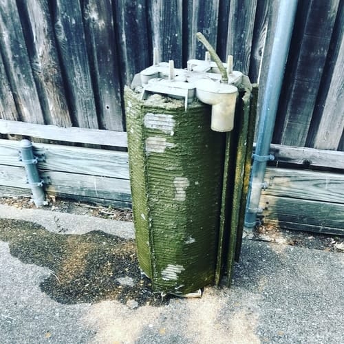 a pool filter full of algae.