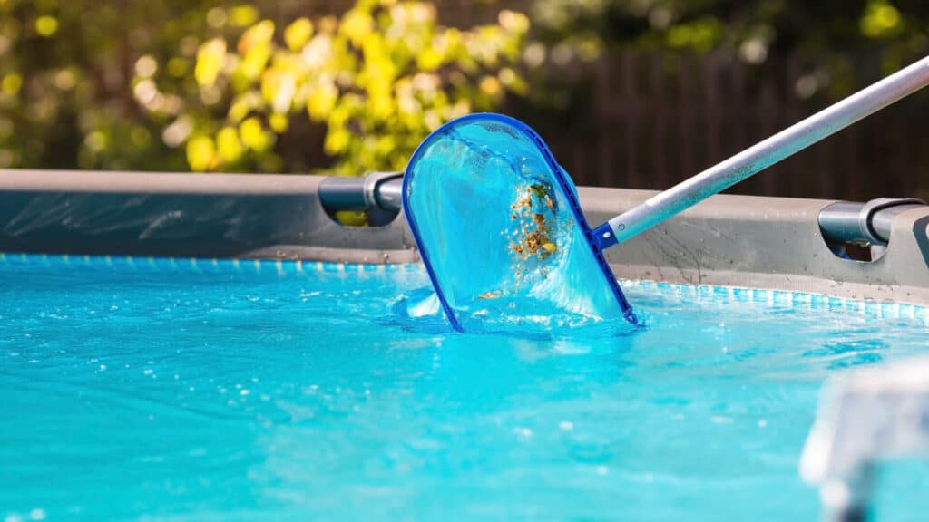 pool cleaning in lewisville texas